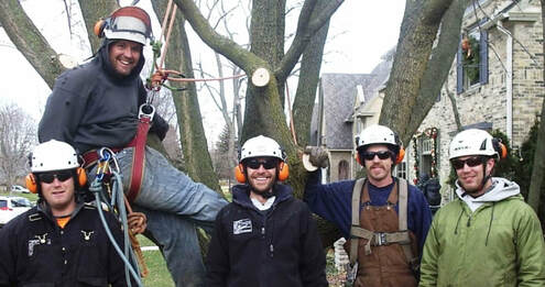 The picture is showing the Tree Service crew at the job. There are 5 workers, all male, who have taken a break from their job and are posing for the picture. They are all smiling and laughing and looking happy. They are dressed in their work clothes with safety equipment on. 