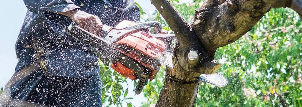 A man using a chainsaw and cutting of a large tree branch while wood chips are flying through the air